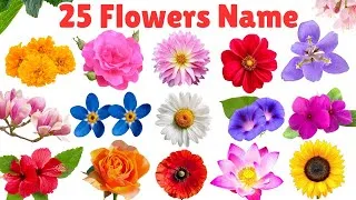 Thumbnail: 25 Flowers Name with Picture | Learn Flowers Name for Kids | Flowers Name in English 