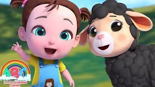 Thumbnail: Baa Baa Black Sheep Hide and seek | Nursery Rhymes & Kids Songs | Abc Little Learning Corner