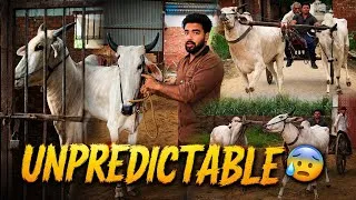 Thumbnail: New Ox 🔥Fail Or Pass 😨We Jailed Our Arjun But Why💔
