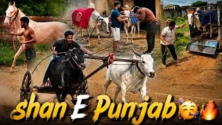 Thumbnail: A New beginning 🔥Welcome Home Champion Of Punjab 🥳￼