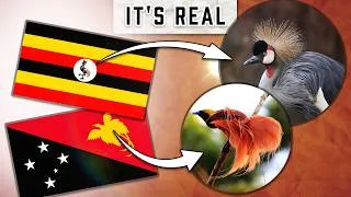 Thumbnail: These Flags Contain Real Elements Within Them.