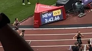 Thumbnail: Josh Kerr runs WORLD RECORD in Mile of 3.42.66 - Diamond League 2026 (Stand View)