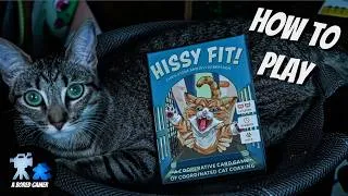 Thumbnail: How to Play Hissy Fit!
