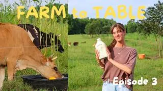 Thumbnail: We went to a raw dairy farm | FARM to TABLE Ep. 3