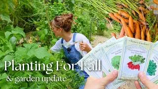 Thumbnail: Prepping My Garden for Fall & Best Seeds to Plant Right Now | Garden Vlog