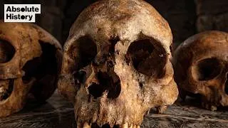 Thumbnail: New DNA Evidence Reveals Complex Evidence About The Viking Age