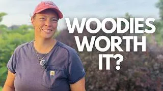 Thumbnail: I Planted Woody Shrubs 4 Years Ago… Here’s What I Think Now