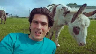 Thumbnail: To love without fear