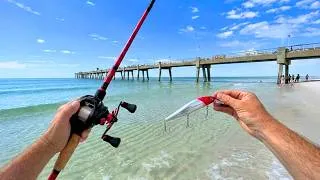 Thumbnail: 4 DAYS OF PIER FISHING MADNESS!!!