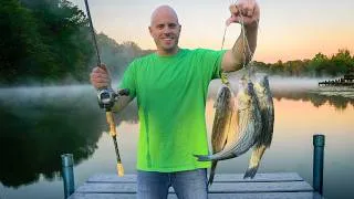 Thumbnail: Caught 3 Fish in 1 Cast || Mega Schooling Fish Catch n' Cook