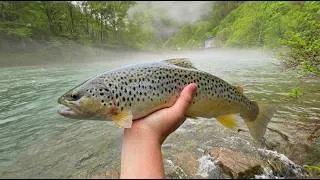 Thumbnail: TROUT Fishing and Camping for 3 DAYS in the Misty Mountains!