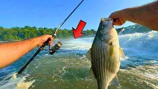 Thumbnail: Fishing for Dinner in these Rapids Loaded with Fish!
