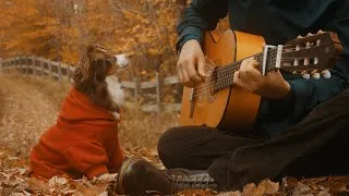 Thumbnail: Somewhere Only We Know