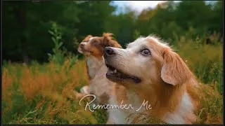 Thumbnail: Remember Me