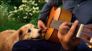 Thumbnail: Saying Goodbye (What a Wonderful World)