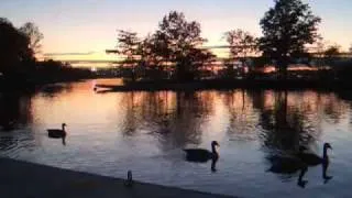 Thumbnail: "When Lights Are Low", The Benson Orchestra of Chicago