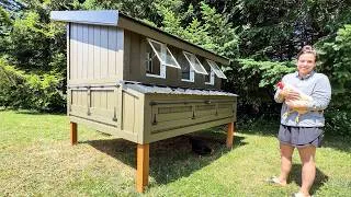 Thumbnail: Finally Moving the Chickens into Our Dream Coop!