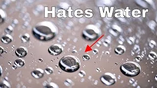 Thumbnail: Things Being Way Too Hydrophobic Compilation (Part 1)