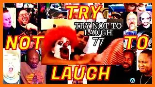 Thumbnail: TRY NOT TO LAUGH CHALLENGE 77 - BY ADIKTHEONE - REACTION MASHUP - LOLS ARE BACK! - [ACTION REACTION]