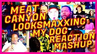 Thumbnail: MEAT CANYON: LOOKSMAXXING MY DOG - REACTION MASHUP - MEATCANYON LOOKSMAXXING MY DOG MASHUP - [AR]