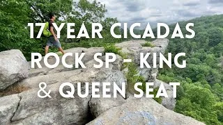 Thumbnail: Rock State Park, MD - 17 year Cicadas - POV - White Trail to King and Queen Seat
