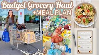 Thumbnail: We Did Our ENTIRE Grocery Haul on a Budget + Meal Plan & Lunch Recipe