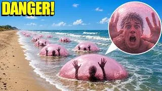 Thumbnail: If you see the OCEAN do this…STAY AWAY! (KEEP OUT OF THE WATER!)