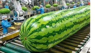Thumbnail: How Watermelon Juice Is Made ｜Complete  Production Line | Modern Fruit Processing Plant Tour