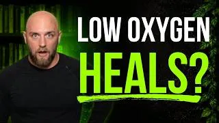 Thumbnail: Intermittent Hypoxia: How Low Oxygen Rebuilds the Brain, Heart & Mitochondria