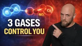 Thumbnail: The 3 Gases That Control Your Body