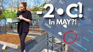 Thumbnail: I Almost Planted Everything Out Too Early 😬…Allotment Gardening   