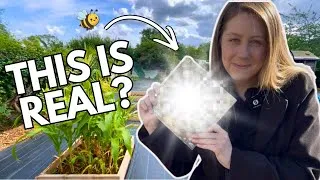 Thumbnail: I Wrote A Children’s Book Inspired By My Son & His Allotment Adventures 🐝