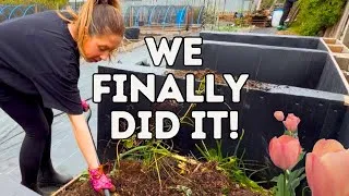 Thumbnail: Allotment Reset! We are Finally Ready | Compost Bays and Huge Changes 
