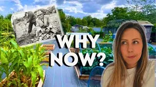 Thumbnail: Why Everyone Wants An Allotment (The Real Reason) And The History Behind Them