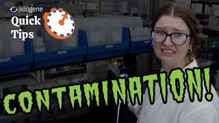 Thumbnail: Visual Checks for Contamination