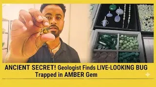 Thumbnail: Unboxing Ethiopia’s Rare Gems: See the Stone with a Prehistoric Insect