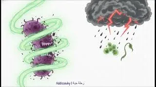 Thumbnail: H. Pylori: How to Defeat the "Super Bug" Naturally