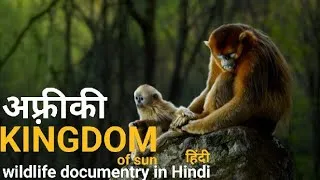 Thumbnail: The kingdam of the sun - हिंदी डॉक्यूमेंट्री ! African wildlife documentry in Hindi