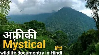 Thumbnail: The mystical forest - हिंदी डॉक्यूमेंट्री ! Africa wildlife documentry in Hindi