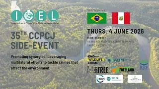 Thumbnail: Promoting synergies: Leveraging multilateral efforts to tackle crimes that affect the environment