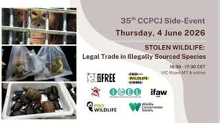 Thumbnail: Stolen Wildlife: Legal Trade in Illegally Sourced Species