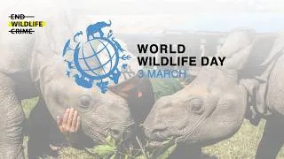 Thumbnail: UN World Wildlife Day 2026 x EWC 6th Anniversary