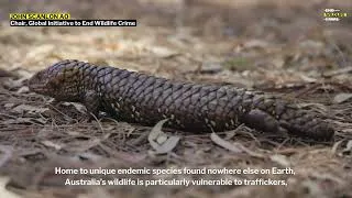 Thumbnail: EWC Statement for "Wildlife Crime in Our Backyard: Illegal Wildlife Trade Showcase"