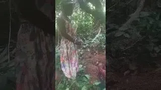 Thumbnail: 47-yr-old woman allegedly buries newborn grandchild alive at Akoroso-Koforidua in the Eastern Region