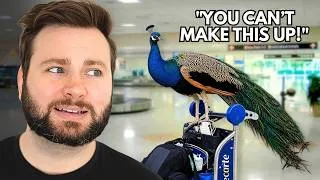 Thumbnail: Are These Crazy News Stories Real?