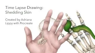 Thumbnail: Time Lapse Drawing: Shedding Skin