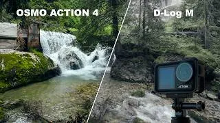 Thumbnail: DJI Osmo Action 4 | D-Log M Forest Walk (4K Cinematic)
