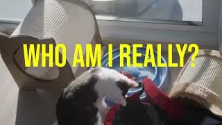 Thumbnail: Who are you?