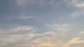 Thumbnail: Birds fly in the sky • Mirzapur City #mirzapur #vindhyavasini