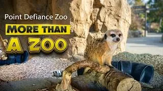 Thumbnail: Inside Point Defiance Zoo & Aquarium | Animals, Conservation & Family Fun